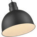 R Series 1 Light 12 inch Satin Black Indoor Pendant Ceiling Light